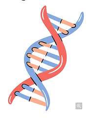 Science DNA and RNA
